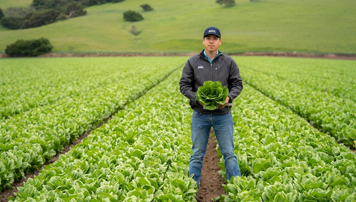 Agriculture student holding head of lettuce in a field